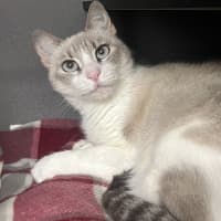 Photo of Coco
