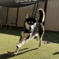 Photo of Axel