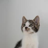 Photo of Mario