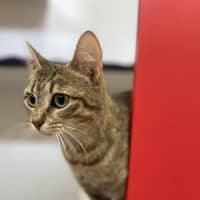 Photo of Wendy