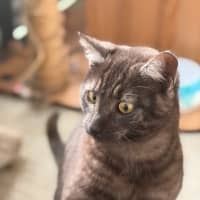 Photo of Owen