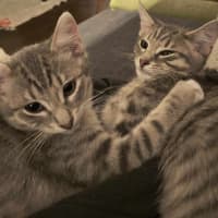 Photo of Bruno / Fruit Loop