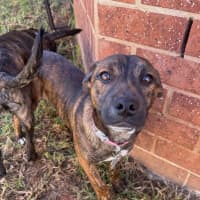 Photo of General Munchkin