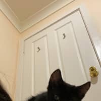 Photo of Sissy