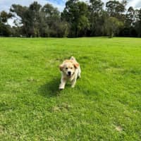 Photo of Sarrh Falko 