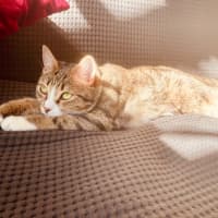 Photo of Kaiya