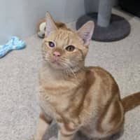 Photo of Fury
