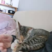 Photo of Mina