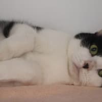 Photo of Lizzy