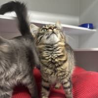 Photo of Sandy