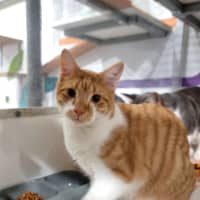Photo of Eddie (Bonded With Freddie) 
