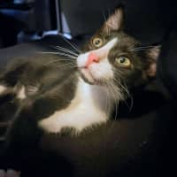 Photo of Conrad