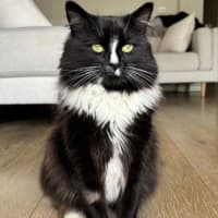 Photo of Sprite