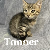 Photo of Tanner 