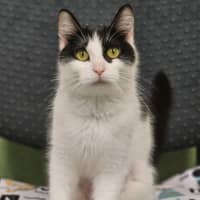 Photo of Heidi