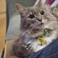 Photo of Klaus