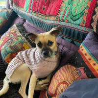Photo of Coco