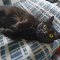 Photo of Celeste