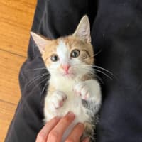 Photo of Lottie & Cindy 🌺🌺