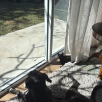 Photo of Merp (Previously Leanne) 