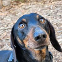 Photo of 🌞 Sonny 6191 🌞