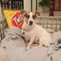 Photo of Coco Newhaven