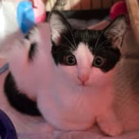 Photo of Holly (8914)