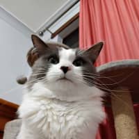 Photo of Aspen