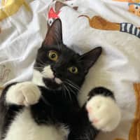 Photo of Freddy