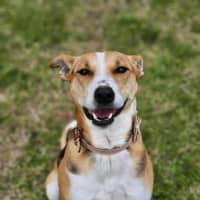 Photo of 🌼 Daisy 6367 🌼