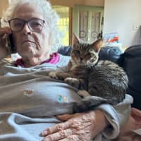 Photo of Batman   Bonded With Enchantress