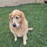 Photo of Lola