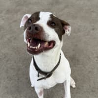 Photo of Xena 