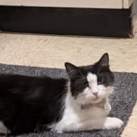 Photo of Miss Biccies