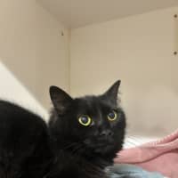 Photo of Turbo
