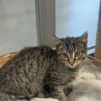 Photo of Winky