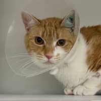 Photo of Jezi