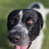 Photo of Lady Primrose (8981)