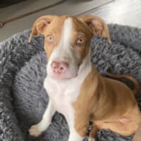 Photo of Brian Mannix