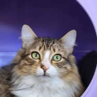 Photo of 🧭 Elijah 5198 🧭