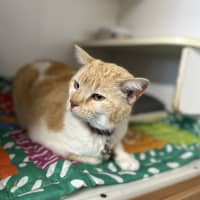 Photo of Mia