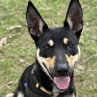 Photo of Roxi
