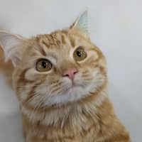 Photo of 🎃 Jonesy 6455 🎃