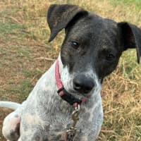 Photo of Billie Jean