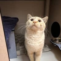 Photo of Ziggy