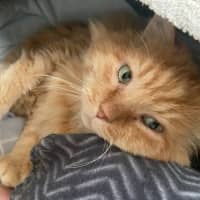 Photo of Bobby