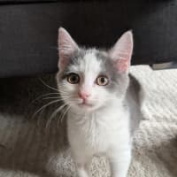 Photo of Charlotte
