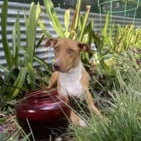 Photo of Matilda