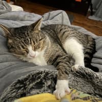 Photo of Reggie