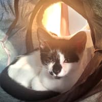 Photo of Manny And Munro